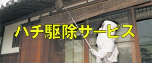 名古屋のハチ駆除サービス