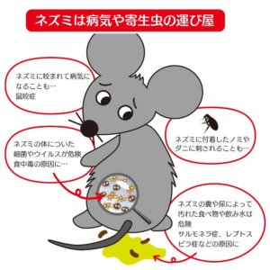 ネズミは寄生虫の運び屋